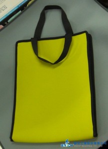 REUSABLE BAG-2